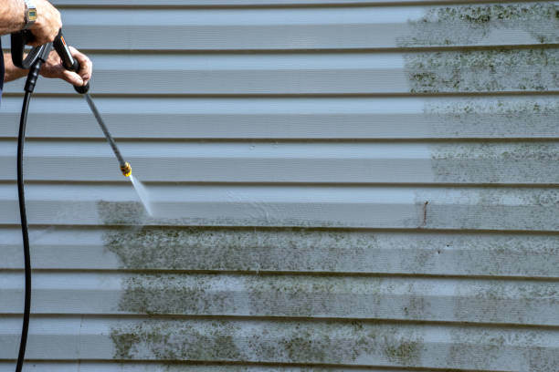 Best Yard Waste Removal  in San Clemente, CA